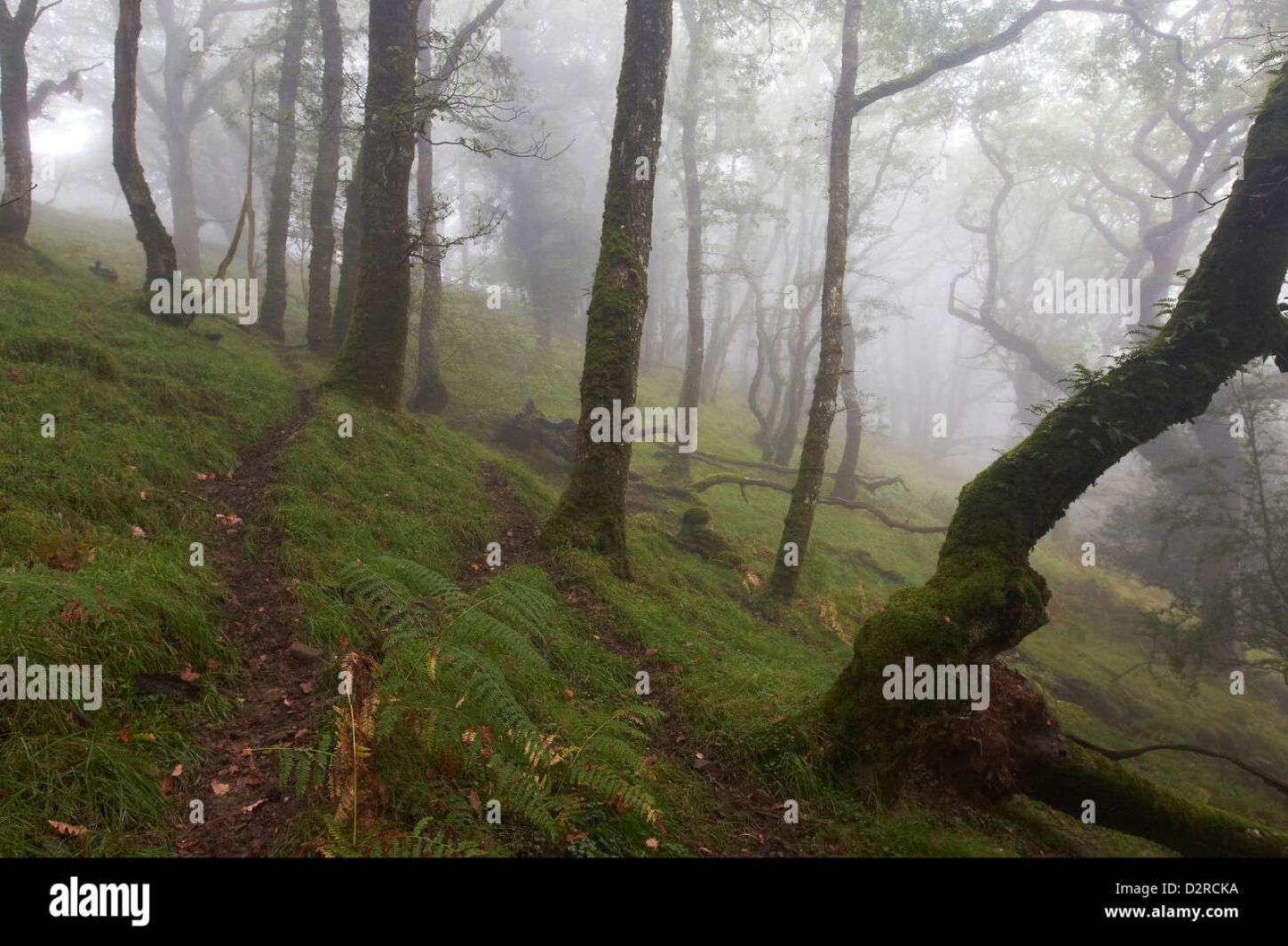 24/7 Service, 365 Days A Year